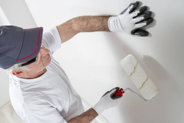 Reliable Edgerton, MN Mold Removal Solutions