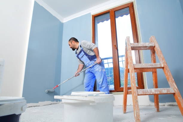 Biohazard Mold Removal in Edgerton, MN