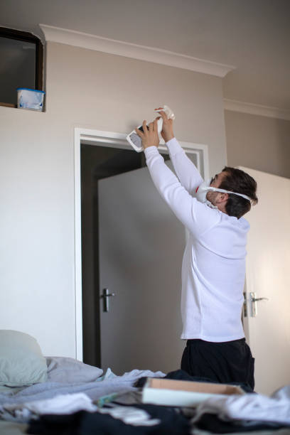 Best Emergency Mold Remediation  in Edgerton, MN