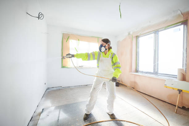 Best Real Estate Mold Inspection  in Edgerton, MN