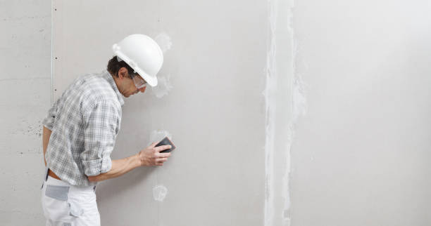 Best Post-Remediation Verification Testing  in Edgerton, MN