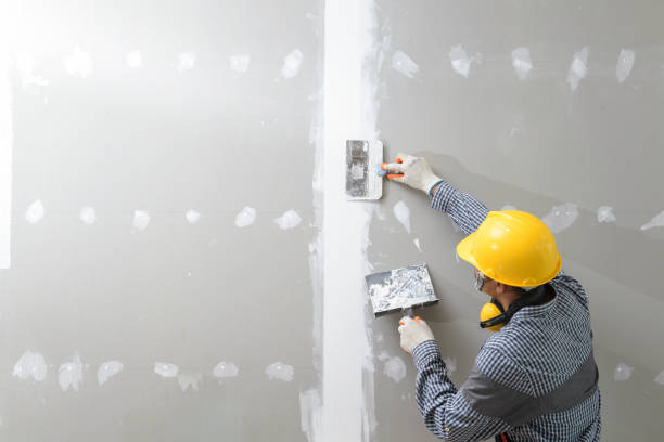 Best Indoor Air Quality Assessment  in Edgerton, MN