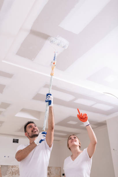 Best Commercial Mold Inspection  in Edgerton, MN