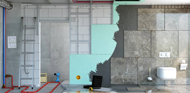 Best Black Mold Removal  in Edgerton, MN