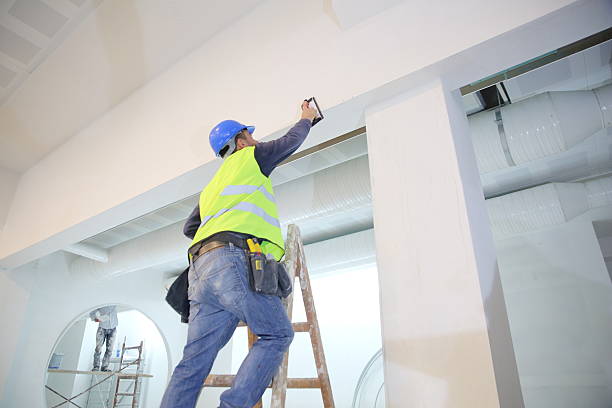 Best Asbestos and Lead Testing During Mold Inspection  in Edgerton, MN