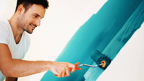 Best Dehumidification Services  in Edgerton, MN