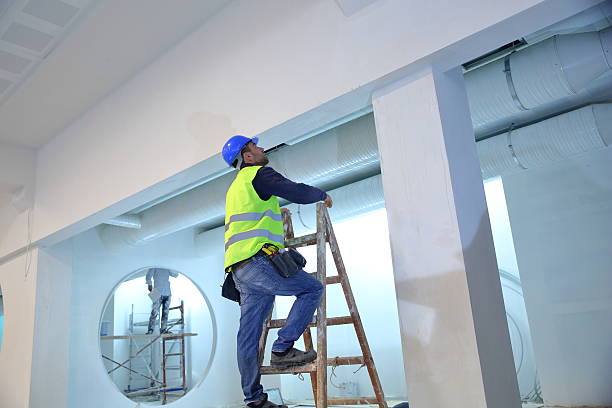 Best Residential Mold Inspection & Testing  in Edgerton, MN