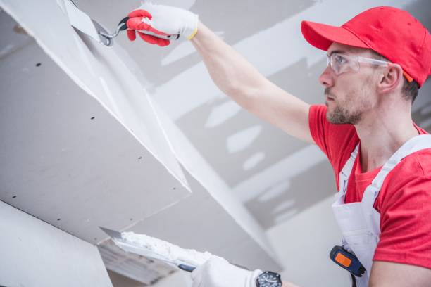 Best Mold Prevention Services  in Edgerton, MN