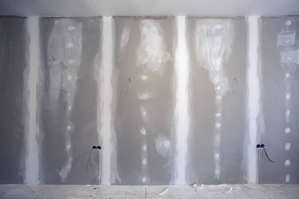 Best Mold Prevention Services  in Edgerton, MN
